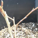 북풍농장 이미지