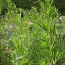 인화목장 이미지