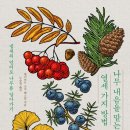 숲내음공원 이미지