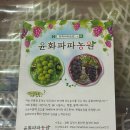 윤화농장 네이버블로그