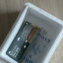 오늘은봄날 | [봄날엔] 봄날엔 초코 퐁당 두바이 쫀득 떡 피스타치오 맛, 두쫀떡, 솔직후기