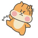 펫플러스 이미지