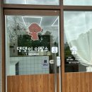 옥산1동 | 옥산 강아지미용하러 댕댕이이발소 다녀옴~~