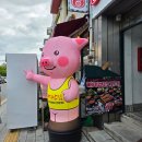 대지 | 수원 야장 고기집, 행궁동 대지안집 후기
