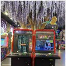 정글스튜디오 이미지