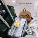 Tree of im | 돌고 돌아 부산에서 서울로 다시 이사.... 남친 때문에 온 거 맞음ㅎ(Feat. 다들 서울로 가네요 ㅠㅠ)