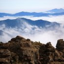 일요일(특별) 이미지