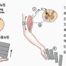 원패밀리짐 이미지