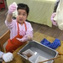 성형목장 이미지