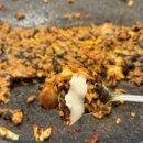 보배쭈꾸미 구서점 이미지