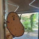 상천초등학교 | [강원도 맛집] 춘천 감자밭 카페 : 포슬포슬 감자빵 옥수수빵 맛집(포장, 배달 가능)