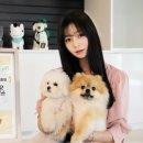 우리강아지 - 창원시 의창구 우곡로 21 | 우리강아지