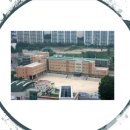 돈암병설유치원 | 돈암초 영어- 돈암초에 대해 알려드려요~