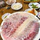 그린회센타 - 하동군 섬진강대로 971 | 그린회센타