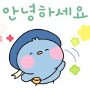 메리딜라이트