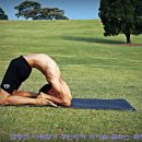 아쉬탕가 요가 이미지