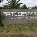 제주공천포전지훈련센터 테니스장 이미지