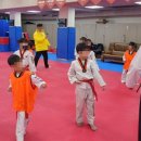 경희대강한태권도장 이미지