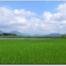 옥산(부산) 이미지