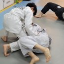 용인대석사특전합기도 이미지