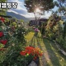 해피뷰매점 이미지