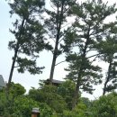 탐나민박 이미지