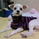 진성여자고등학교 (앞) 이미지