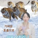 초보 오카리나 이미지