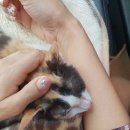 우진동물병원 이미지