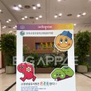 신정초등학교병설유치원 네이버블로그