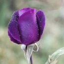 행복한하루 이미지