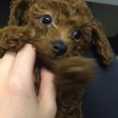 마린파크 동물병원 이미지