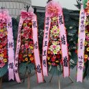 백란 이미지