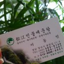 송강민물매운탕 이미지