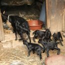 수암동물병원 이미지