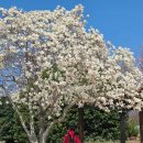 전라남도 농업박물관(주차장) 이미지