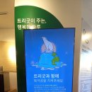 커피먹는 북극곰 이미지