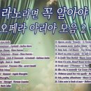 아리아 모음 23곡 01. Caro Nome - Rigoletto – G. Verdi - Anna Moffo 이미지