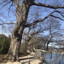 미라농장 이미지