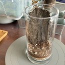 청춘농원 이미지