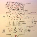 빅독 | 파주 유기견 봉사 니니독 봉사후기 빅독포레스트