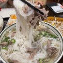 보로인 명동 | 명동 을지로 맛집 ‘보로식당’ 베트남 현지 음식 메뉴 추천