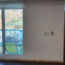 도그스테이 이미지