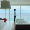 모닝하버 이미지