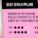 오이시 이미지