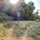 명곡동491 이미지