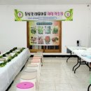 여천초등학교병설유치원 이미지