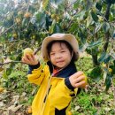 수성유치원 이미지