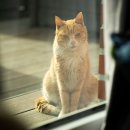 ETF 수수료 총정리 2021년 이미지