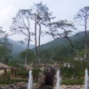 죽령옛길 민박 Daum카페
